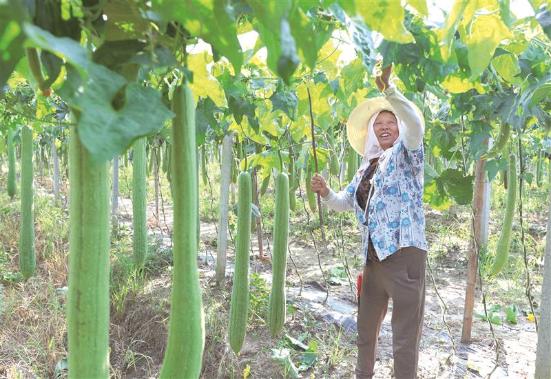 百丝瓜视频苹果版蘑菇浏览器旧版app下载-第2张图片-太平洋在线下载