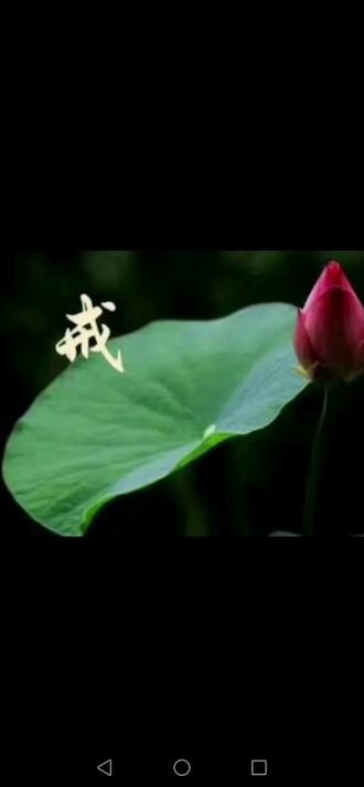 十度佛教手机版下载安卓(十度佛教手机版下载安卓版)-第4张图片-QuickQ官网